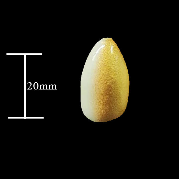 Bullet Floats - 20mm - Bulk