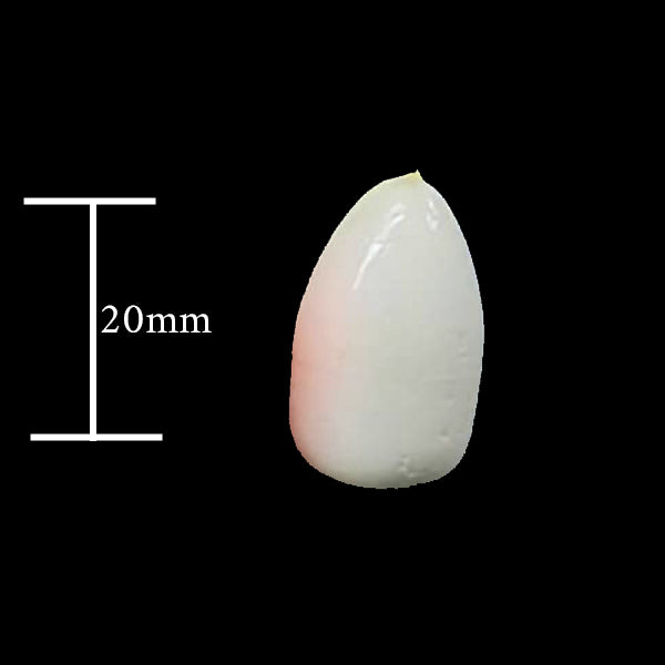 Bullet Floats - 20mm - Bulk